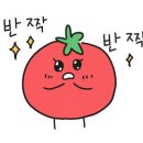 바나타이거의정부