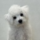 헬로우 그루밍 이미지