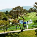 배프로골프 이미지