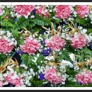 서2동행정복지센터 이미지