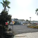 제주올레카라반 & 캠핑 이미지