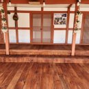 내미농박 이미지