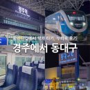 경주역 | 경주역 시간표 I 황리단길에서 동대구역 막차, 누리로 탑승 후기
