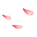 뽑아봐유 이미지