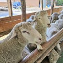 늘벗펜션 이미지