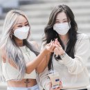 (주)다솜 이미지