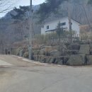 유천리 삼거리 이미지