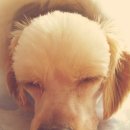 지누동물병원 이미지