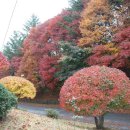 임실고등학교 이미지