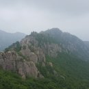 네거리의순이 이미지