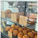 쇼펠리스 이미지