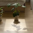 세븐일레븐 숭인IBC호텔점 | 신설동역 IBC 오피스텔 1년 거주 후기