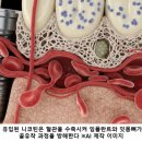 산본효치과의원 이미지