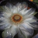 여성합창반 이미지