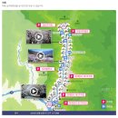 가탄교 입구 | 하동 벚꽃 화개장터 십리벚꽃길 야간 벚꽃 드라이브 명소 추천(위치, 주차장, 실시간 벚꽃개화정보...