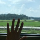 청안칼국수 이미지