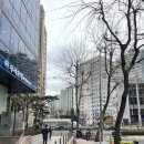 뮬라인 공덕 속눈썹 1:1 전문적인 상담으로 자연스러운 속눈썹펌을 원한다면 여기