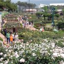 침곡농장 이미지