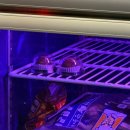 세븐일레븐 일산라페메인점 | 일산 라페스타 고기집 '제주돌돗' 프리미엄 숄더렉 후기