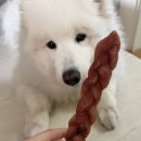 밤시(BAMSI) 이미지