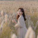 남한강 고운골 자연학습원 | 가을빛 은 물결, 단양 고운골 남한강 갈대숲으로 떠나는 낭만 여행