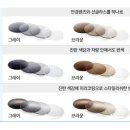금송안경콘택트 이미지