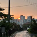 영천동 박씨선과장 | [제천/영천동] 온봄달 :: 감성 샐러드 맛집 제비도 반한 따뜻한 공간