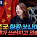 중국 철강 쓰나미 때문에 전세계가 쓰러지고 있습니다 (해담경제연구소 어예진 소장) 이미지