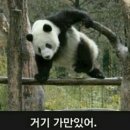 반딧불이 로고