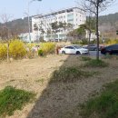 법무사김응상사무소