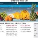 '달게, 더 달게' 高당도 과일 열풍… 성인病 환자들 어떡하지? 이미지