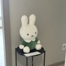 살구공방 | 담금주 공방 소솜 체험 후기 •͈૦•͈