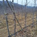 (주)큰나무 이미지