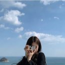 카페세아
