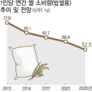 빵심 이미지