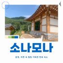 소나모나 이미지