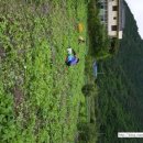 용대농장 이미지