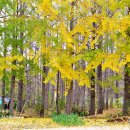 도리보건진료소 이미지