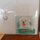 이쁘다 멍 이미지