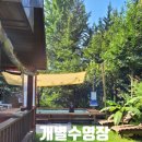 한국민속촌수영장 이미지