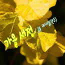 [영상시] 가을 서정 / 詩 이서정(연주) 이미지