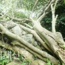 내도운동장 이미지