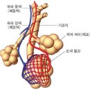 에이블영수전문학원