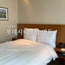 헨나호텔서울명동 | 롯데시티호텔 명동 후기 서울 가성비 호캉스 내돈내산 욕조 반신욕 힐링