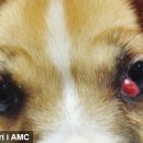 조치원메디컬센터 이미지