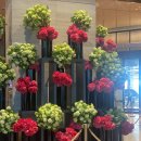 이에스드림타워 이미지