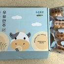 중앙목장 | 평창 대관령 하늘목장｜트랙터마차로 정상 15분 뷰 즐기기 + 카페 요거트·만주 솔직 후기