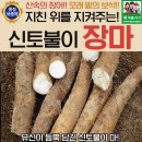 장어다 이미지