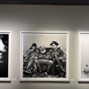 헐리우드비디오방 이미지