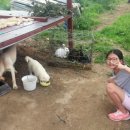 성애농장 이미지